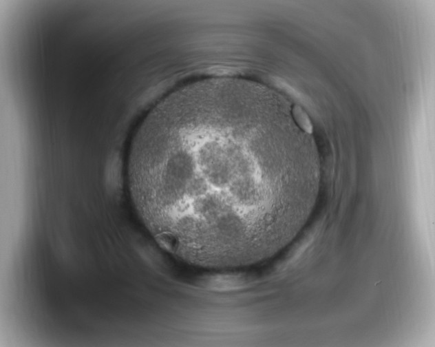 X0000099930303200805231236