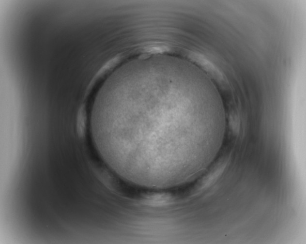 X0000099930304200805231236