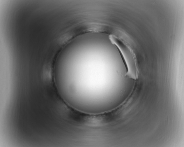 X0000099930305200805231236