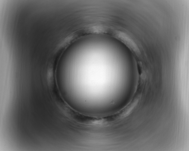 X0000099930306200805231236