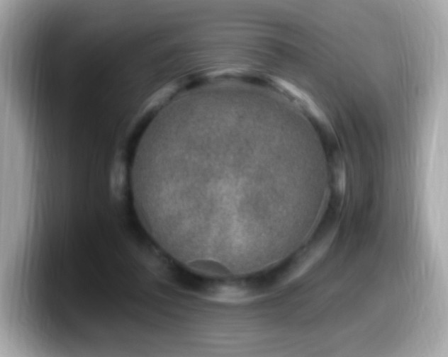 X0000099930308200805231236