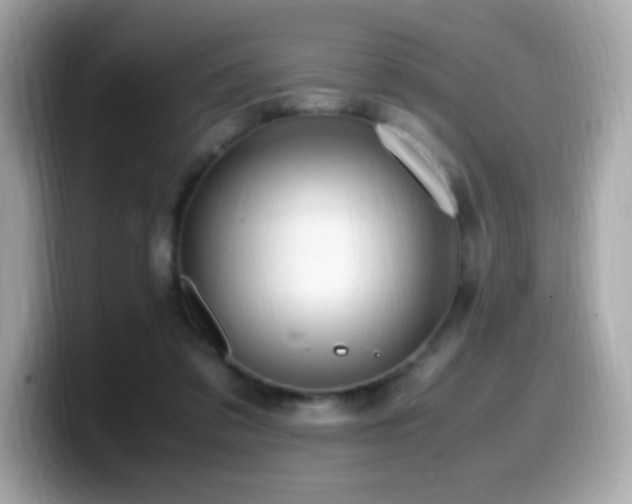 X0000099930309200805231236