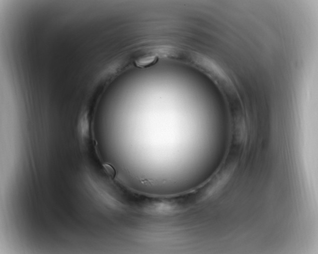 X0000099930310200805231236