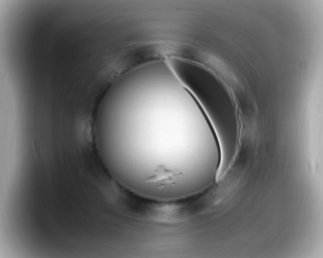 X0000099930313200805231236