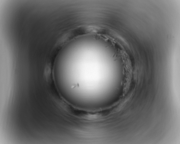 X0000099930314200805231236