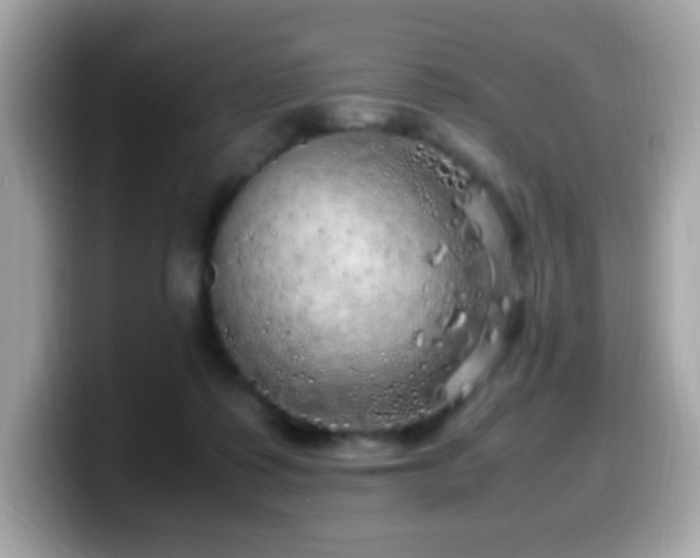 X0000099930315200805231236