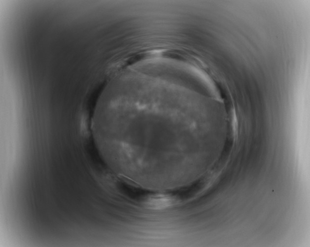 X0000099930316200805231236