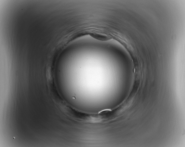 X0000099930317200805231236