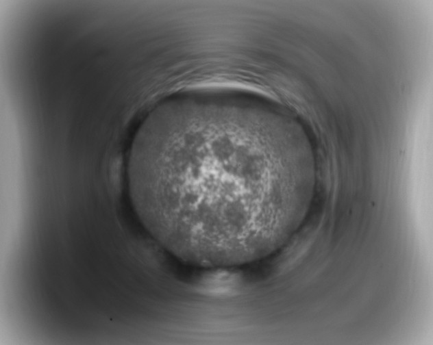 X0000099930319200805231236