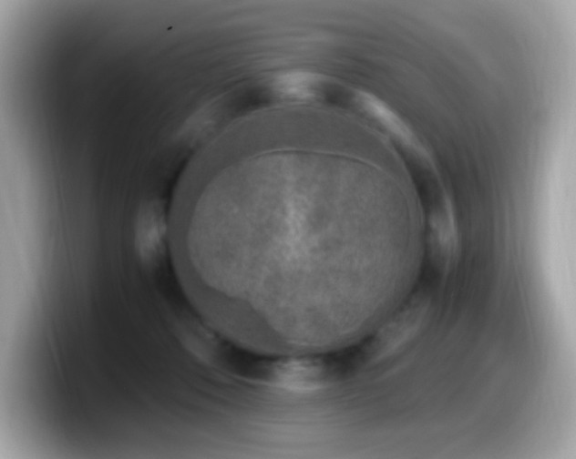 X0000099930320200805231236