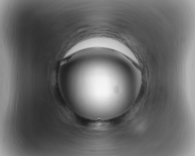 X0000099930323200805231236