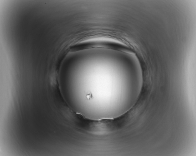 X0000099930325200805231236