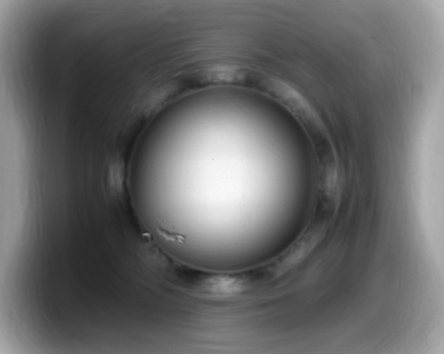 X0000099930326200805231236