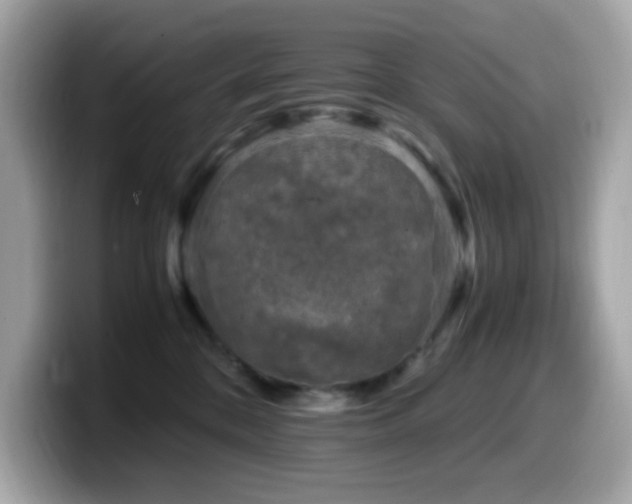 X0000099930328200805231236