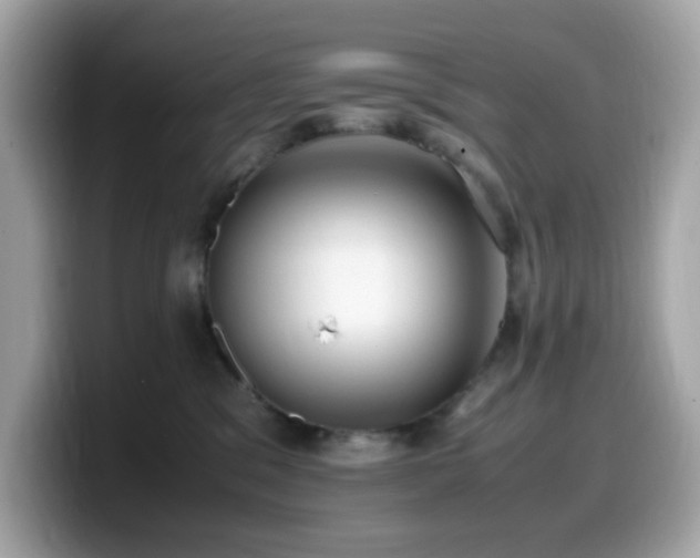 X0000099930329200805231236