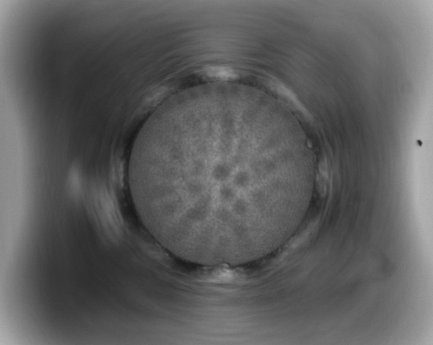 X0000099930330200805231236