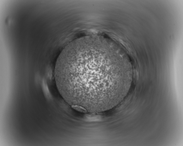 X0000099930331200805231236