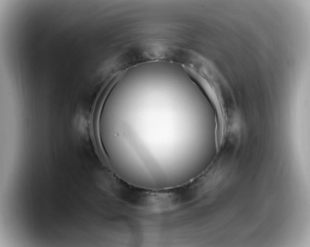 X0000099930332200805231236