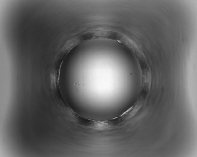 X0000099930333200805231236