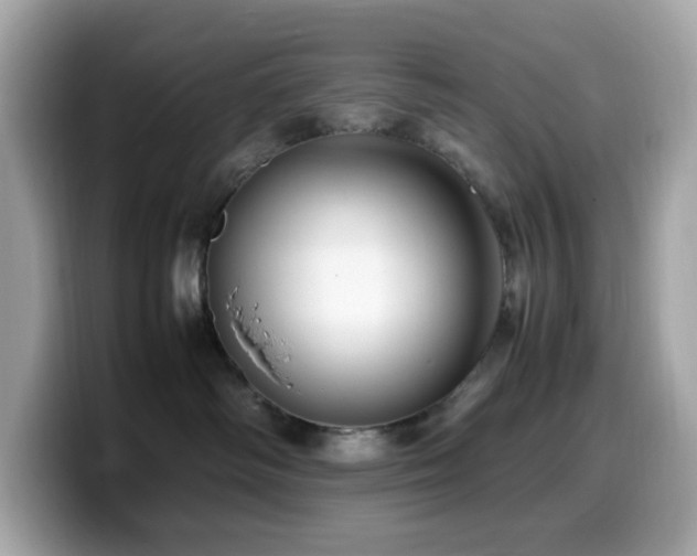 X0000099930334200805231236