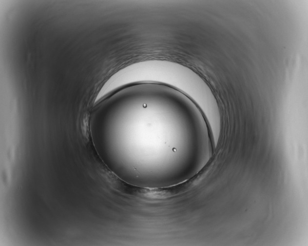 X0000099930336200805231236