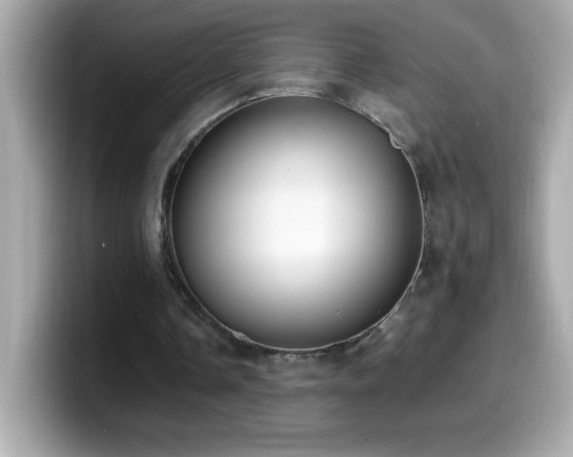 X0000099930338200805231235