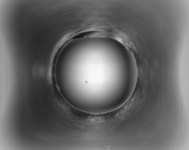 X0000099930340200805231235