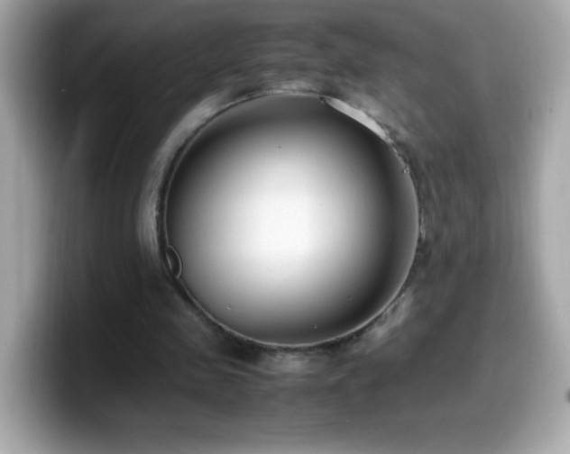 X0000099930341200805231235