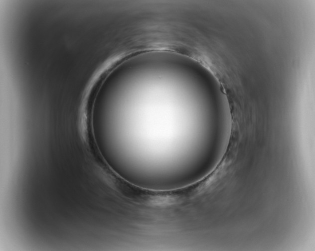 X0000099930342200805231235