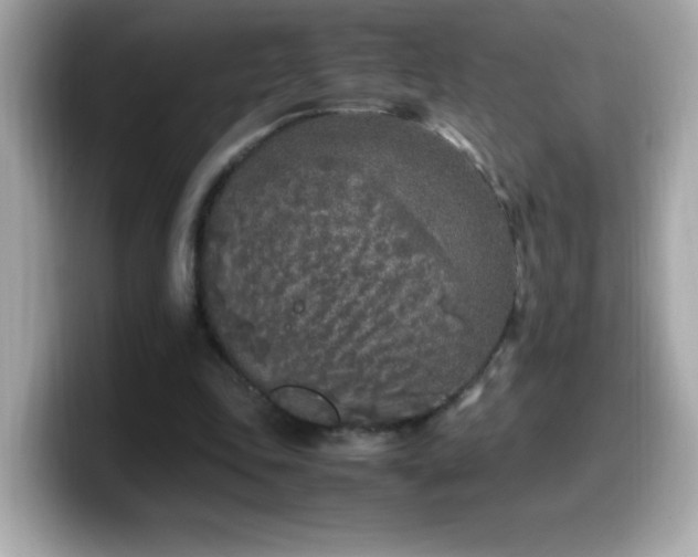 X0000099930343200805231235