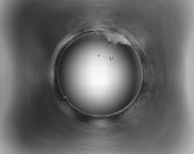 X0000099930344200805231235