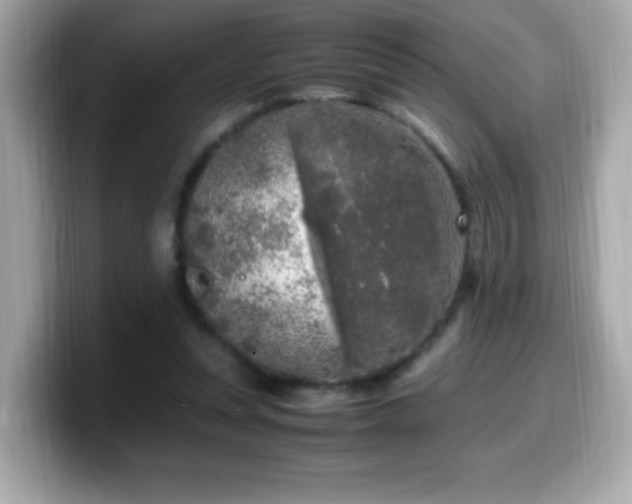 X0000099930351200805231235