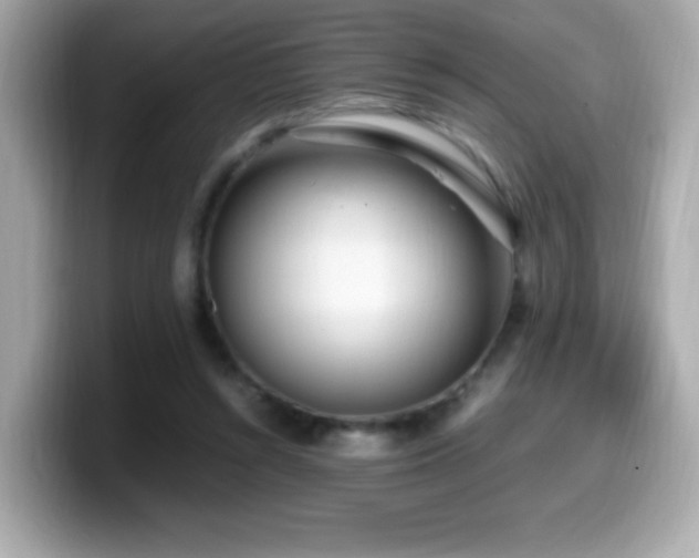 X0000099930352200805231235