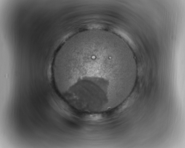 X0000099930353200805231235