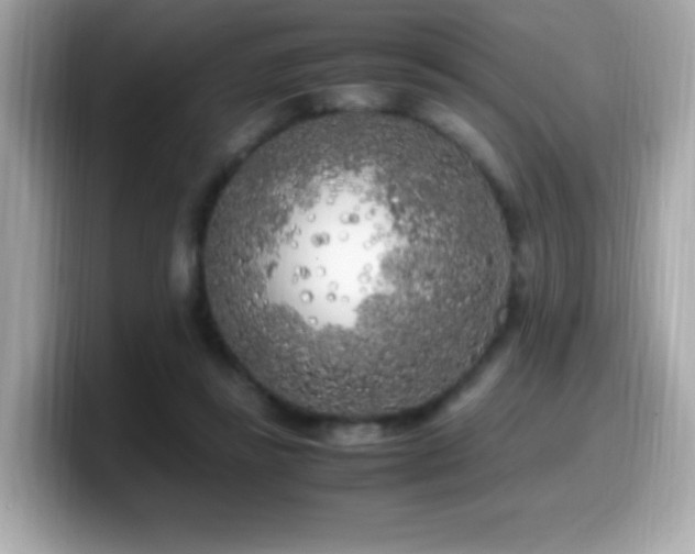 X0000099930355200805231235