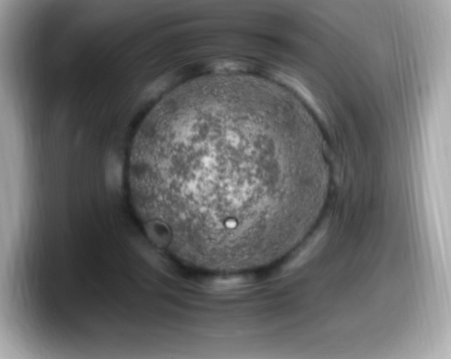 X0000099930357200805231235