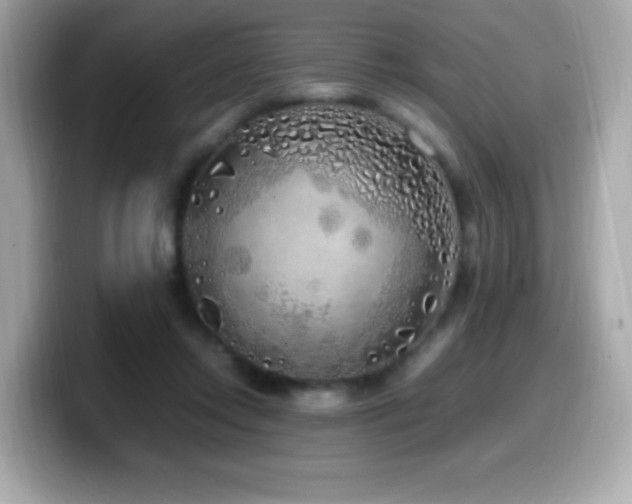 X0000099930358200805231235