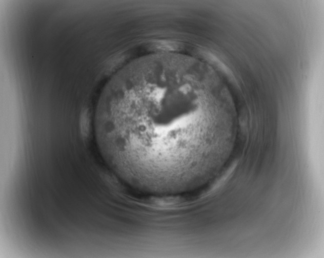 X0000099930359200805231235