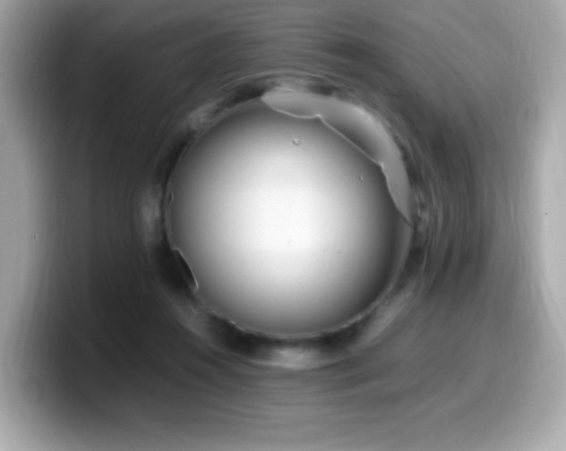 X0000099930360200805231235