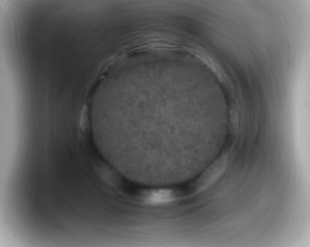 X0000099930361200805231235