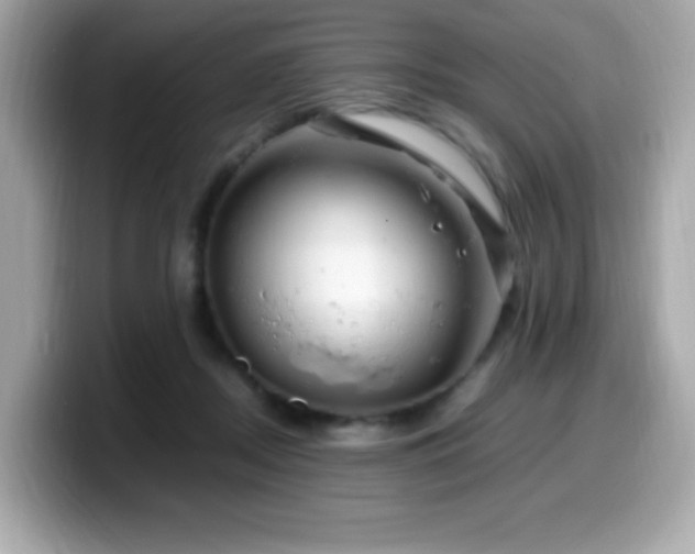 X0000099930362200805231235