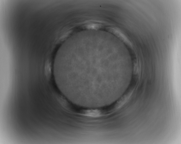 X0000099930363200805231235