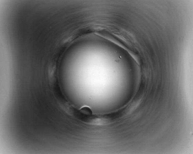 X0000099930364200805231235