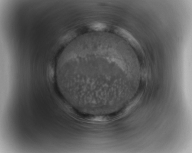 X0000099930365200805231235