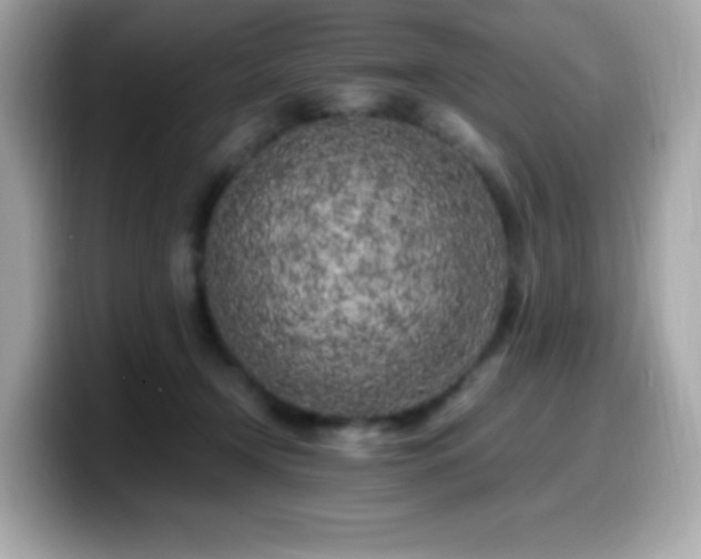 X0000099930366200805231235