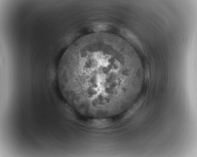 X0000099930367200805231235