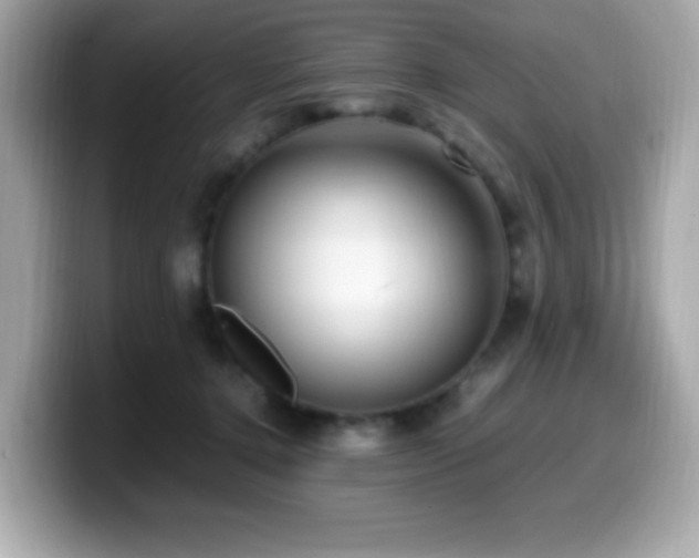 X0000099930368200805231235