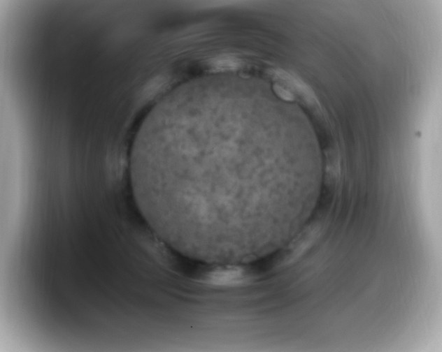 X0000099930369200805231235