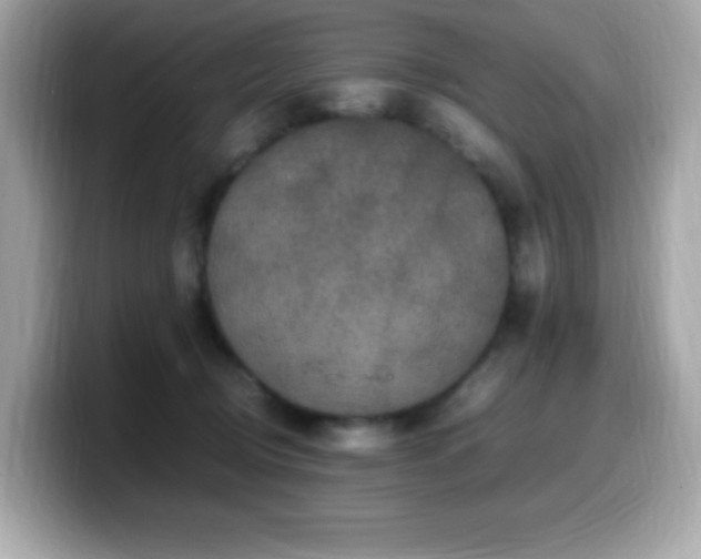 X0000099930370200805231235