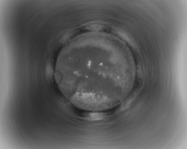 X0000099930371200805231235